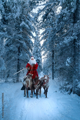Santa Claus and his reindeer in forest