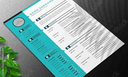 Resume Layout with Blue Accents