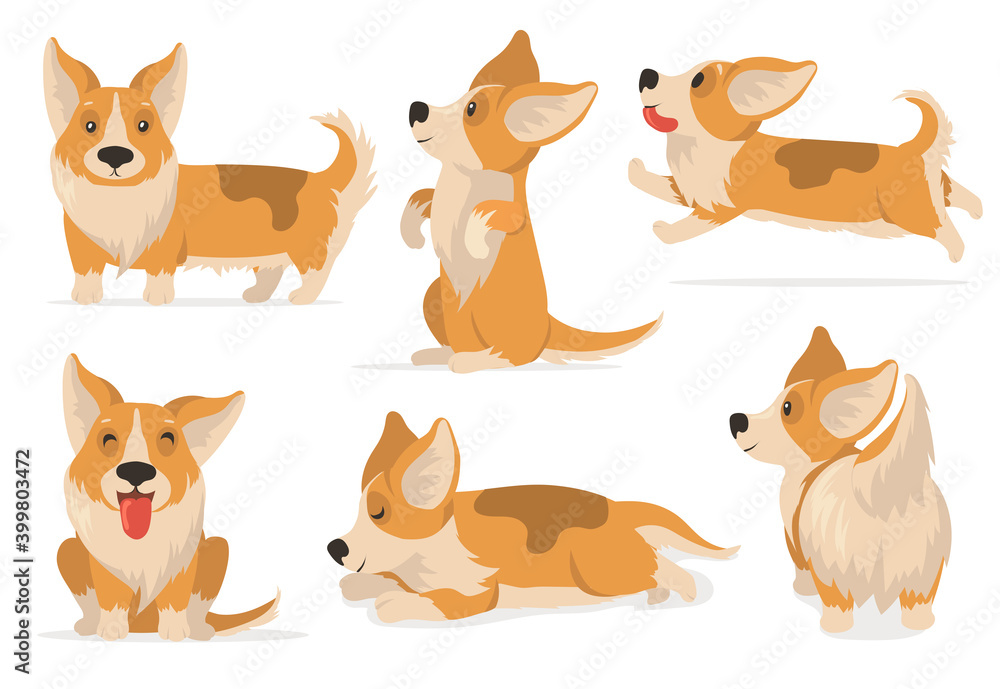 Friendly corgi set. Cartoon pet expressing different emotions, comic puppy dog sleeping, running, sitting. Vector illustration for pet care, domestic animals, cute character concept