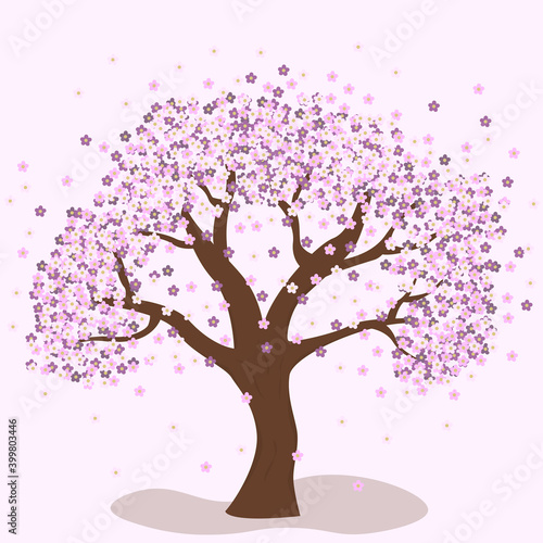 Spring cherry tree. Apricots, plum, cherry. Spring flowers. Flourishing tree.