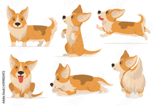 Friendly corgi set. Cartoon pet expressing different emotions, comic puppy dog sleeping, running, sitting. Vector illustration for pet care, domestic animals, cute character concept