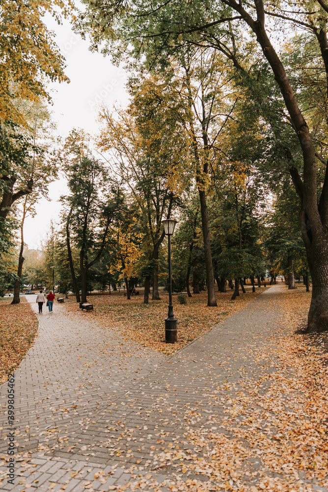 Alley in the autumn Park with a path made of paving stones