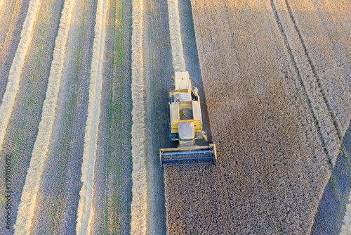 Combine harvester and a tractor harvesting the wheat on a field, Jutland, Denmark.