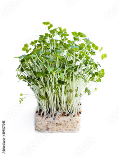 Cress salad isolated on white