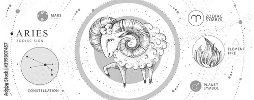 Modern magic witchcraft card with astrology Aries zodiac sign. Realistic hand drawing ram or mouflon. Zodiac characteristic