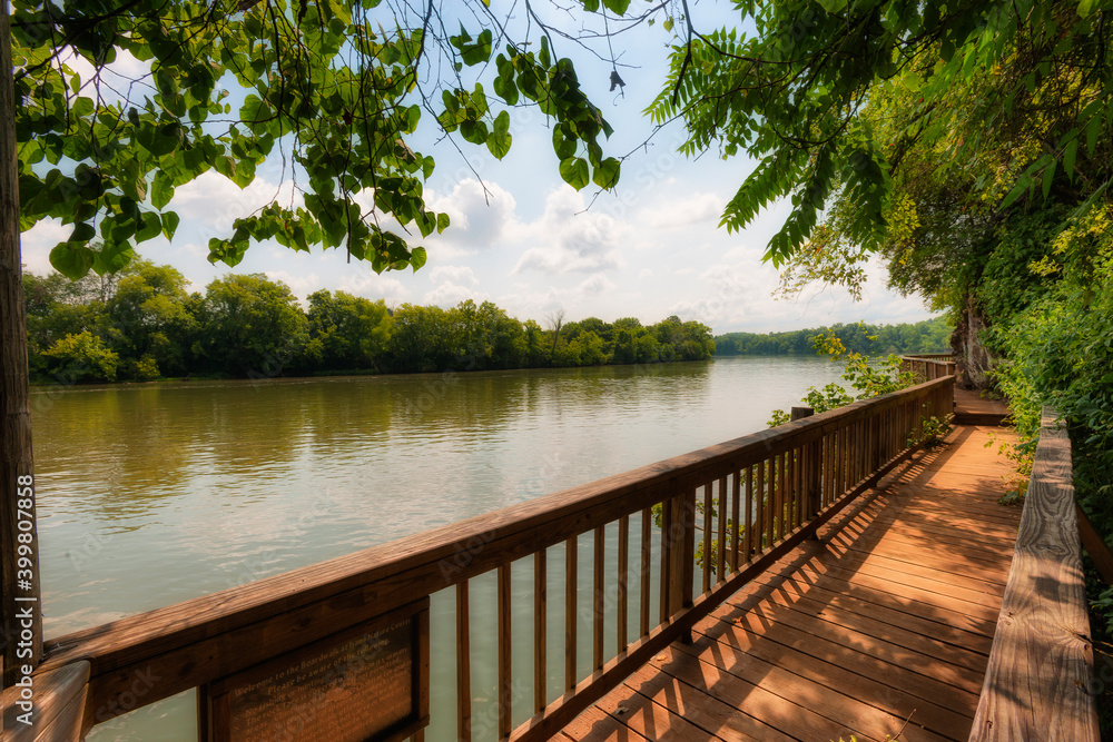 Obraz premium Ijam Nature Park Boardwalk along the Tennessee River