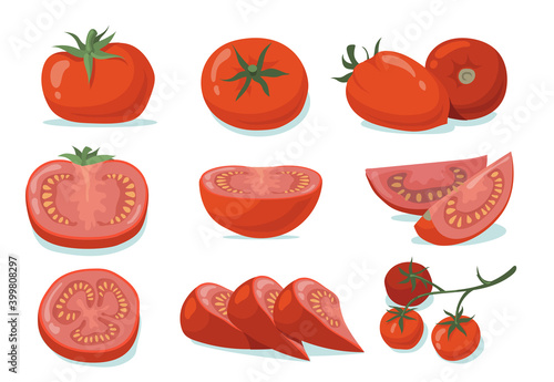 Fresh tomatoes set. Red whole and cut vegetables, halves and slices isolated on white. Vector illustration for organic food, vegetarian diet, cooking ingredient, agriculture concept