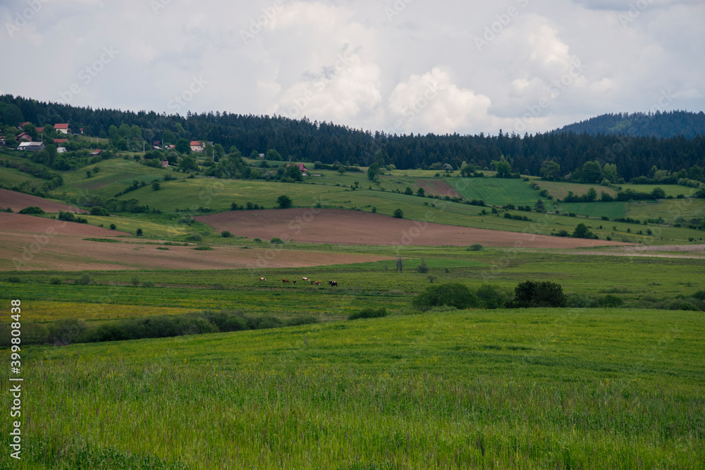 Fototapeta premium landscape in the mountains