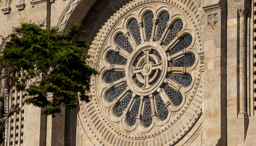 The flower window of 