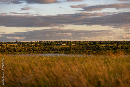 Sunset over the field