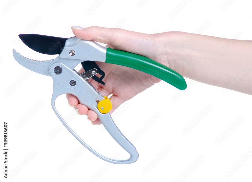secateurs in hand on white background isolation secateurs in hand on white background isolation