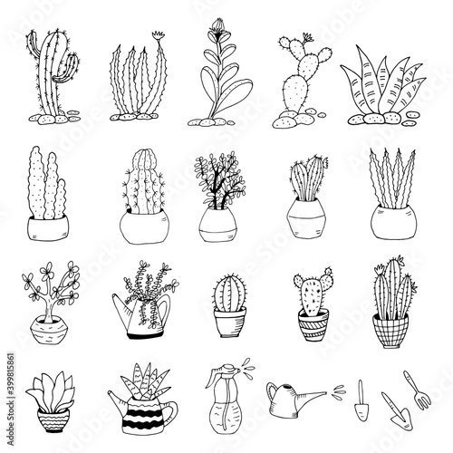 Collection of hand drawn cacti. Big set cute of hand drawn house plants in pots including cactus, dracena, aloe and others, and garden tools. Vector collection of doodle plants.