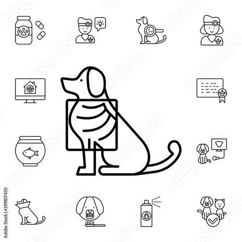 Dog, x-ray flat vector icon in petshop pack