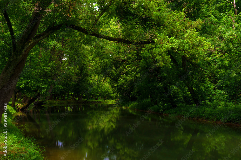 Along the banks of Big Creek in Tennessee Along the banks of Big Creek in Tennessee