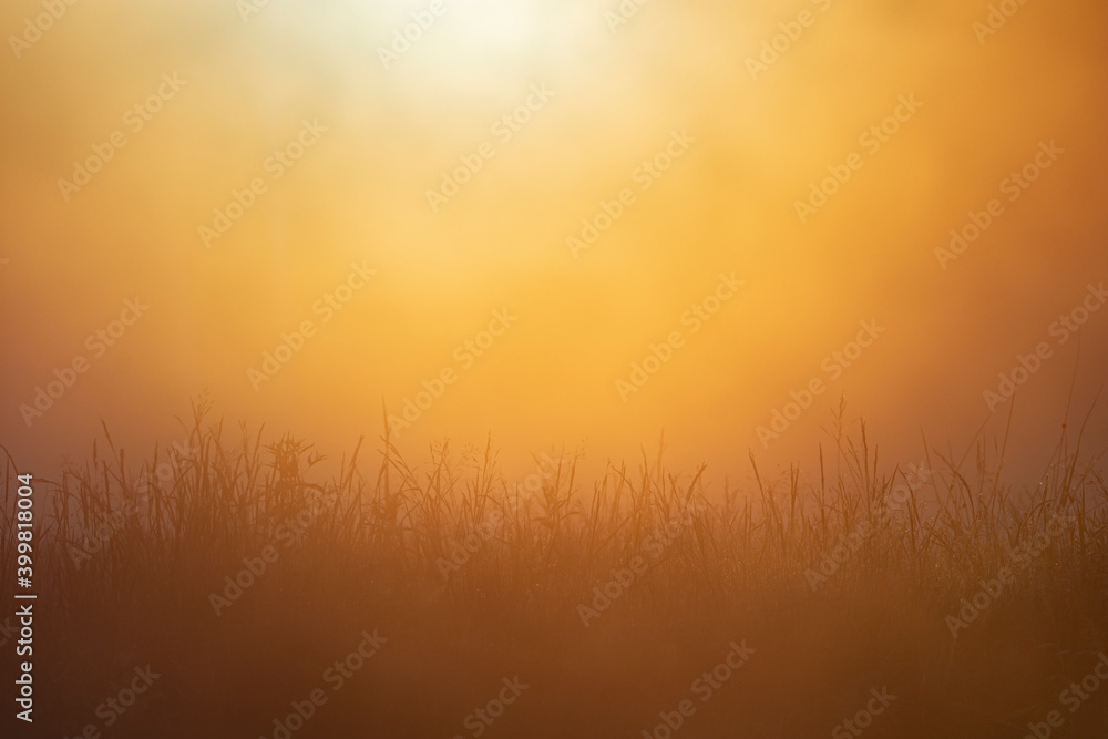 Sunrise over the field. Sunrise over the field.