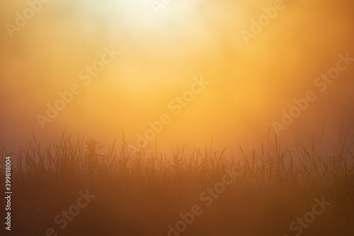 Sunrise over the field. © Christer