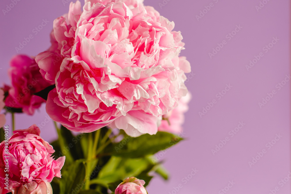 Peonies, bouquet, frame, postcard, mother's day, birthday. Summer or spring flowers. Peonies, bouquet, frame, postcard, mother's day, birthday. Summer or spring flowers.