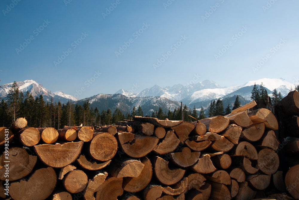 stack of firewood in mountains
