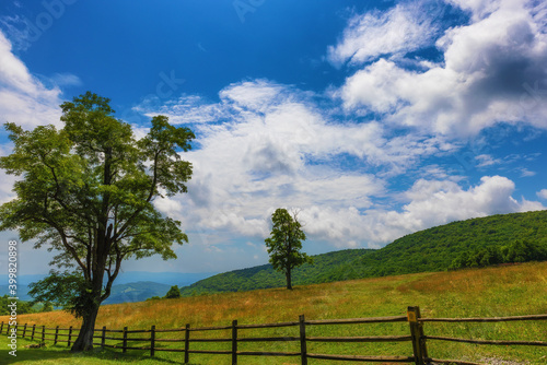 Grayson Highlands State Park in Virginia © Dee