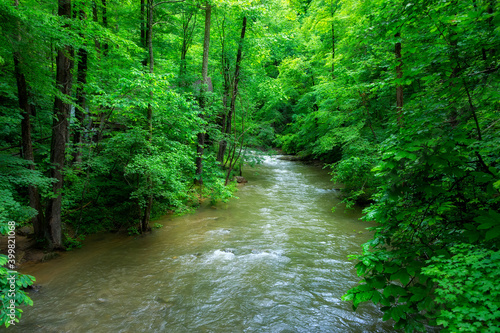 Photography Clinch River in rural Duffield, Virginia