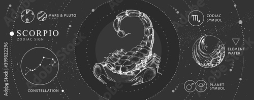 Modern magic witchcraft card with astrology Scorpio zodiac sign. Realistic hand drawing scorpion illustration. Zodiac characteristic