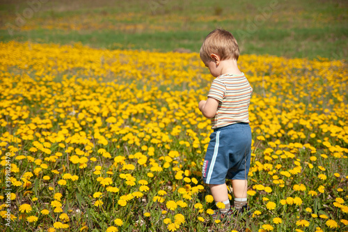 child in the field of lowers