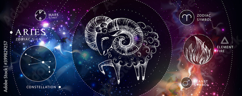 Modern magic witchcraft card with astrology Aries zodiac sign. Realistic hand drawing ram or mouflon. Zodiac characteristic photo