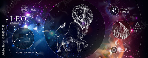 Modern magic witchcraft card with astrology Leo zodiac sign. Realistic hand drawing lion head. Zodiac characteristic