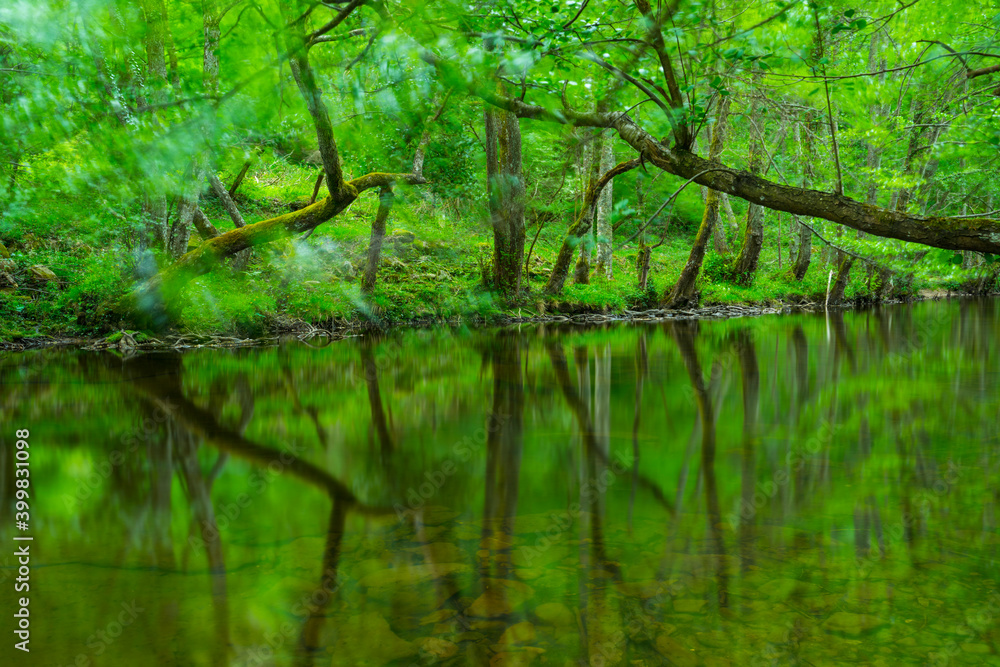 Bayas river, Gorbeia Natural Park, Alava, Basque Country, Spain, Europe Bayas river, Gorbeia Natural Park, Alava, Basque Country, Spain, Europe