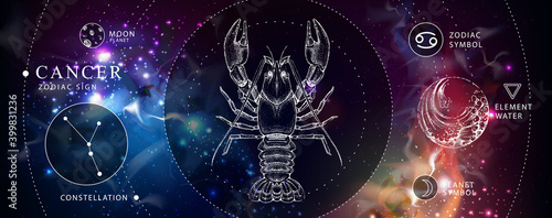 Modern magic witchcraft card with astrology Cancer zodiac sign. Realistic hand drawing crab illustration. Zodiac characteristic