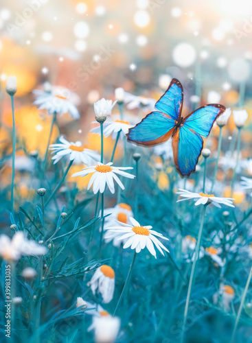 Spring natural landscape with wild flowers on meadow and fluttering butterflies on blue sky background. Dreamy soft air artistic image. Soft focus, author processing. © blackdiamond67