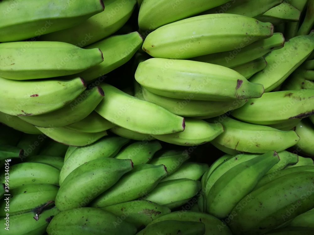Close up of green bananas, bunch of bananas