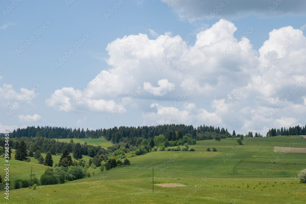 landscape with trees landscape with trees