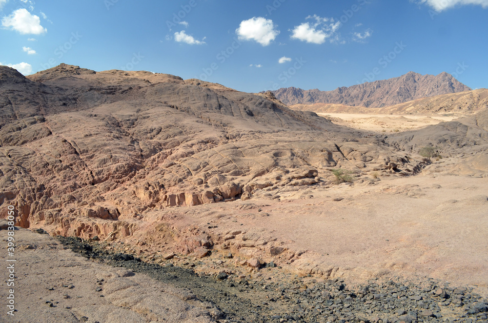 Desert of Sinai Peninsula, Egypt. Near Sharm El Sheikh