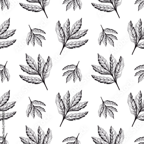 Seamless pattern made from natural leaves. Black and white picture for wrapping paper. Hand drawn by pen and liner on white background. 
