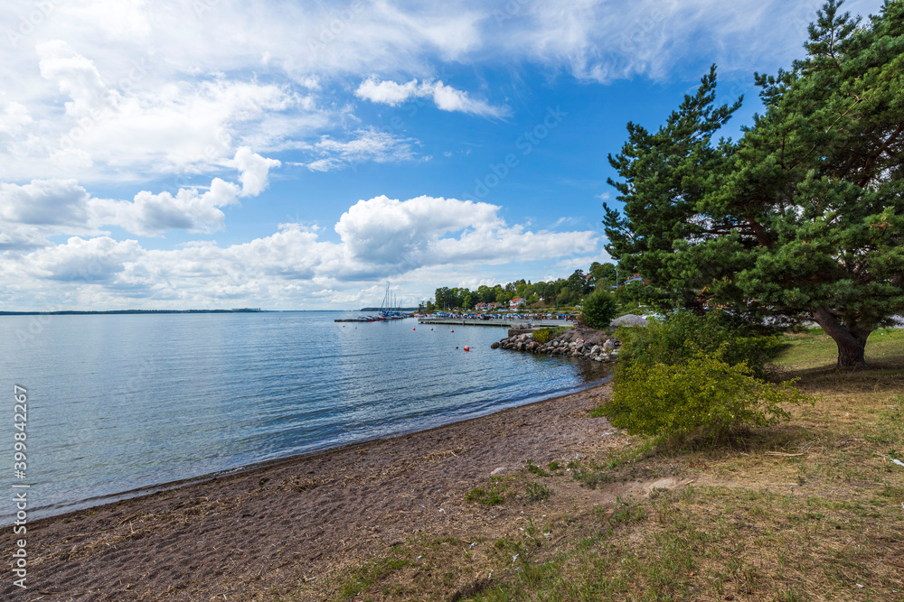Fototapeta premium Gorgeous summer landscape view. Baltic sea water mirror surface with green tree on front and blue sky with white clouds background. 
