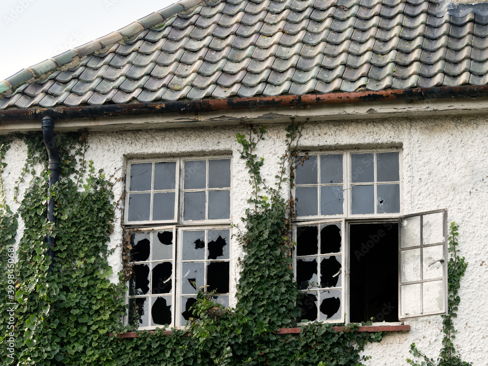 Ivy covered building with broken windows Ivy covered building with broken windows