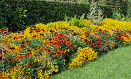 Billede på lærred Colors of autumn - a flower bed in the park