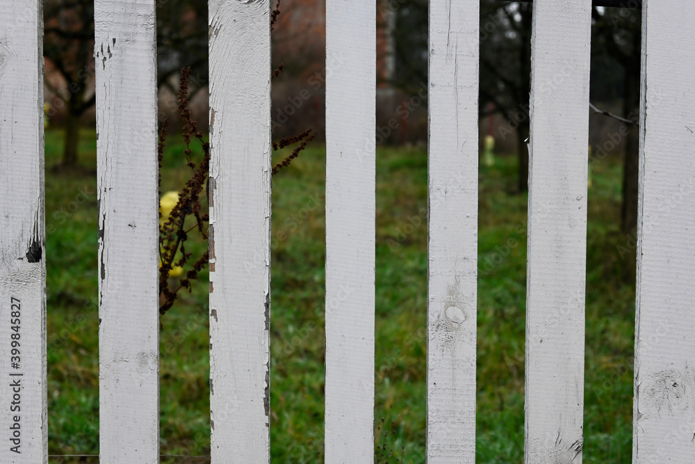 White wooden fence with gaps between the boards. White wooden fence with gaps between the boards.