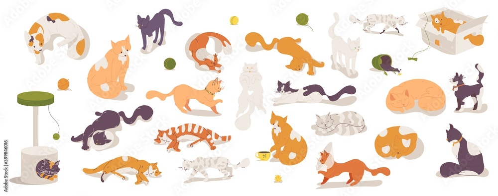 Various cats collection isolated on white. Cartoon characters sleeping, jumping, sitting. Different kittens good for vet, shelter and pet cafe