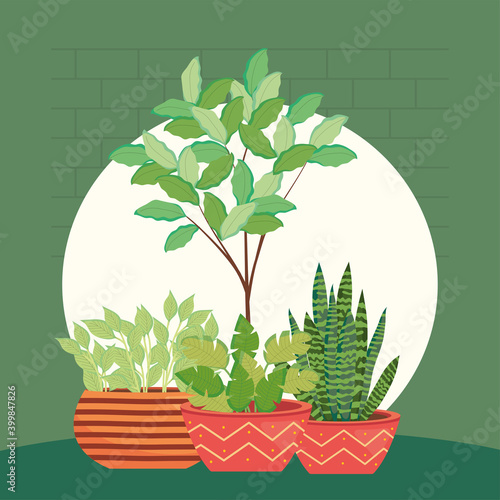 plants inside pots in front of green wall vector design