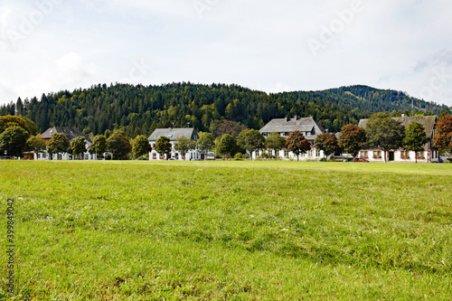 Hinterzarten im Schwarzwald Häuser an der Wiese