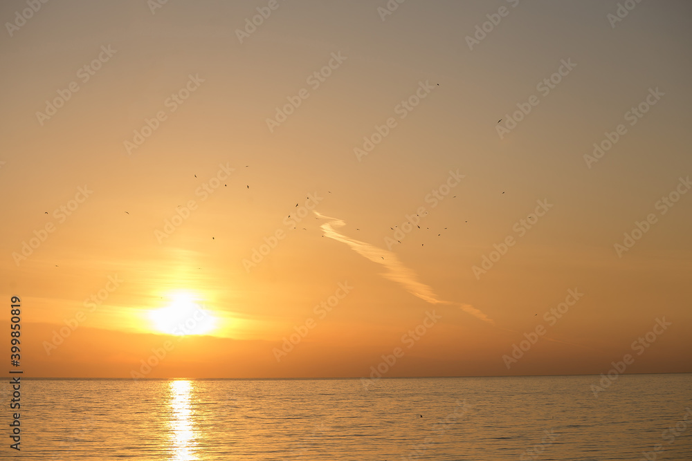 Sunset at sea with seagulls in the background of the sun above the water Sunset at sea with seagulls in the background of the sun above the water