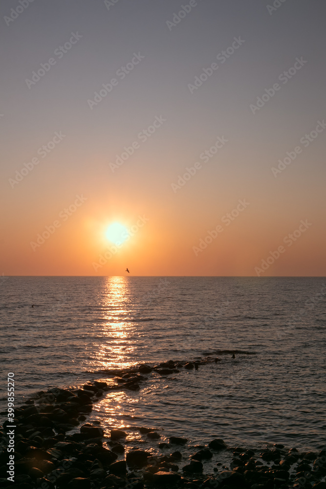 idyllic lake view at dawn