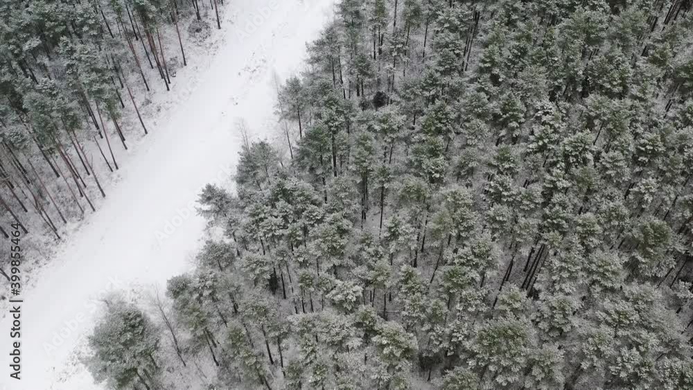 top view of a dense, snow-covered forest with a road covered with snow top view of a dense, snow-covered forest with a road covered with snow