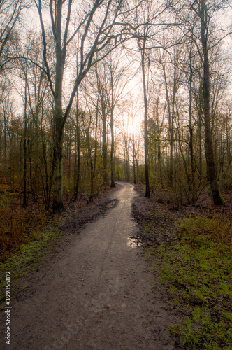 Park De Amsterdamse Bos in december