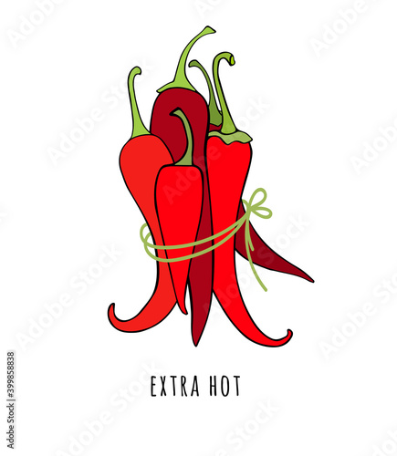 A bunch of red hot peppers. Vector outline drawing of cayenne peppers. Design element for condiments or sauces.