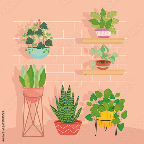 plants inside pots in front of bricks wall vector design