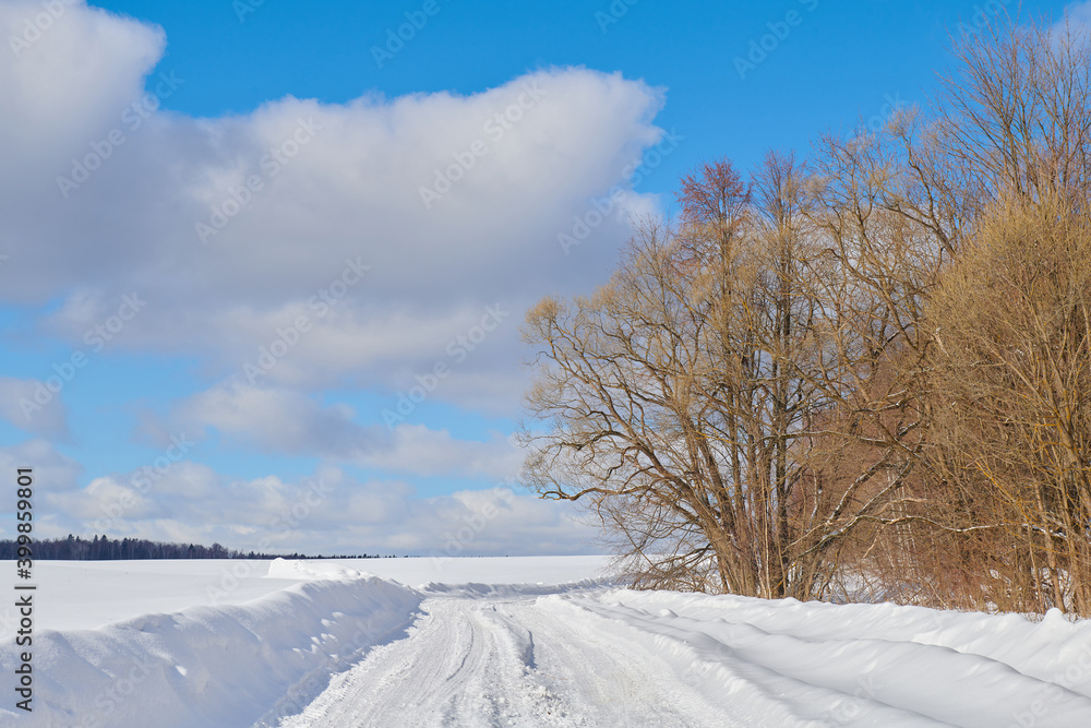 Winter landscape with trees, road and field Winter landscape with trees, road and field