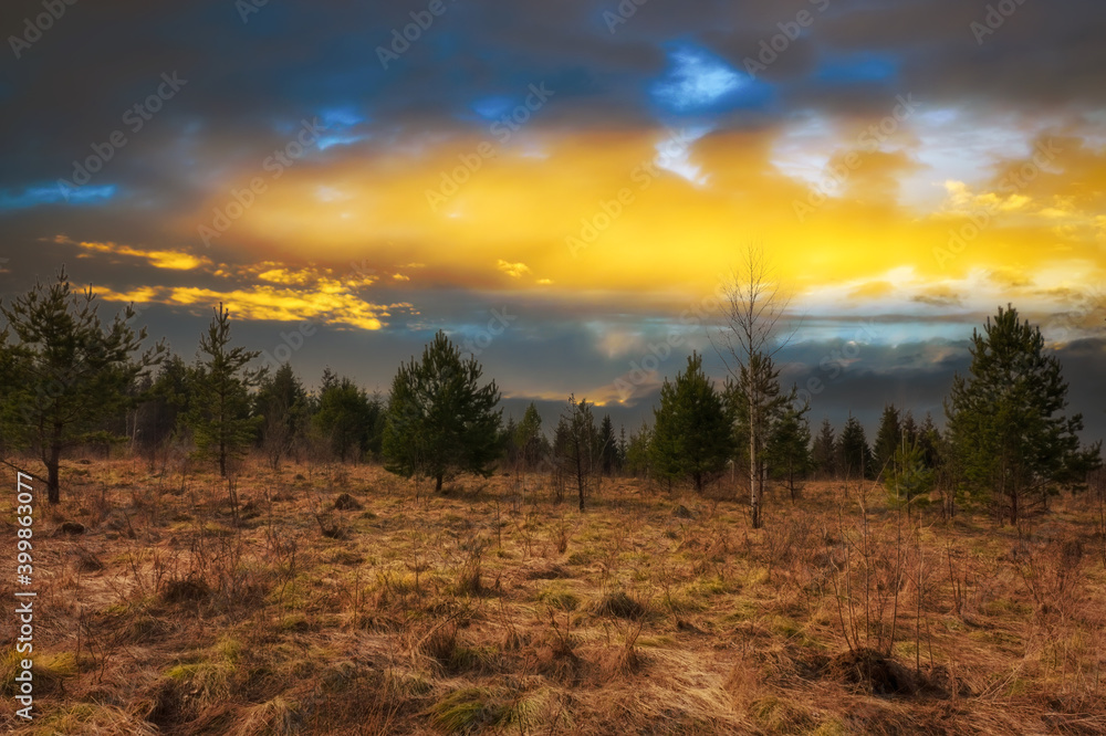 Forest meadow field landscape. Early spring forest meadow view. Forest meadow scene. Forest meadow field landscape. Early spring forest meadow view. Forest meadow scene.